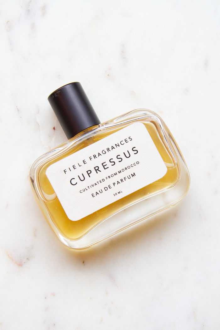Cupressus, 50 ml