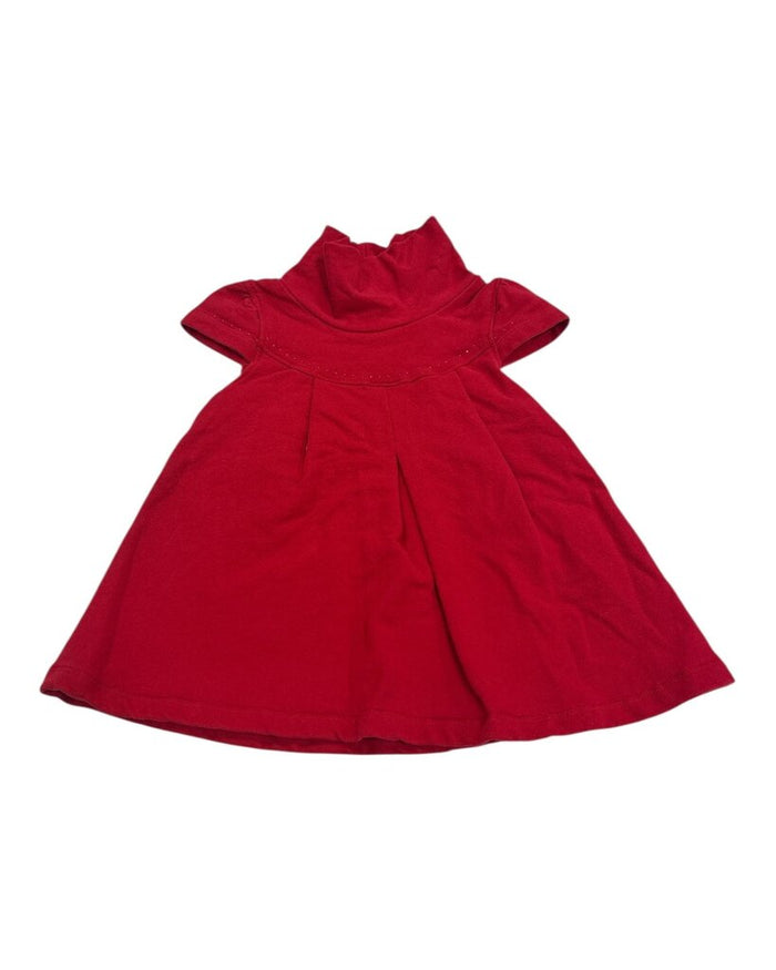 Turtle Neck Dress
