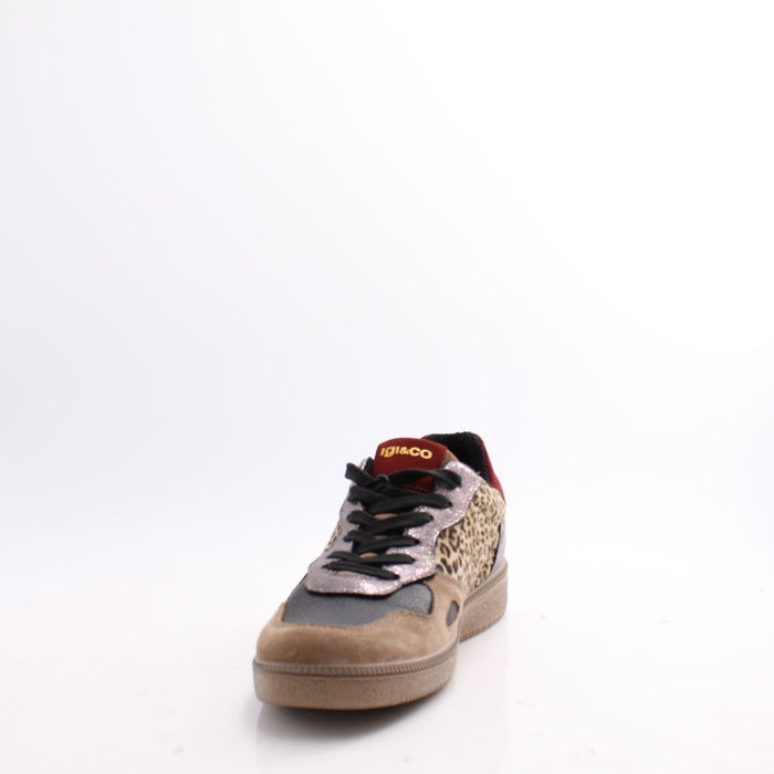 8678855 IGI&CO SHOES