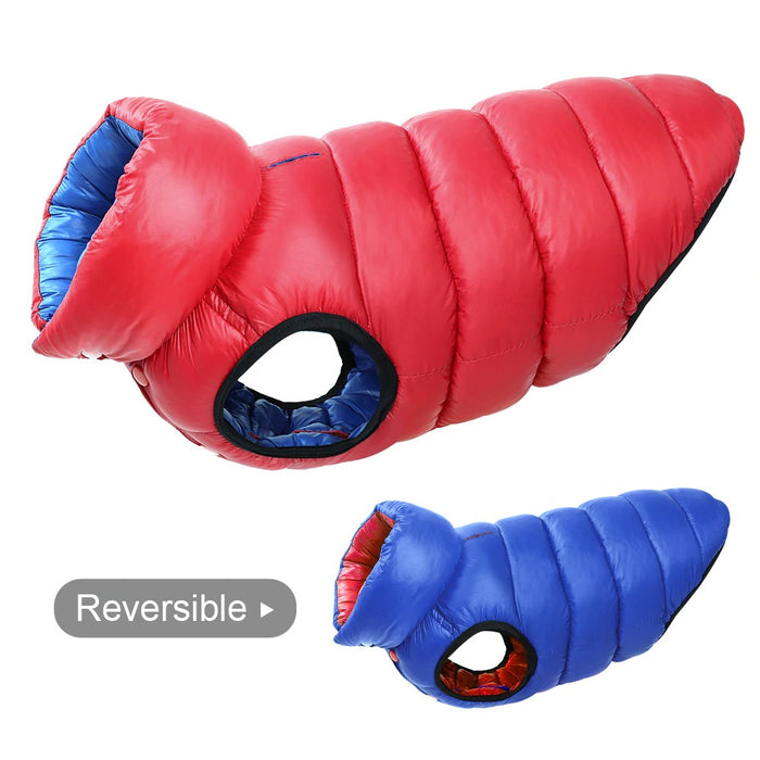 Ace Dog Reversible Winter Jacket