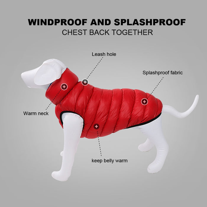 Ace Dog Reversible Winter Jacket