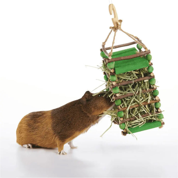 Guinea Pig interacting with Apple Stick Hay Feeder