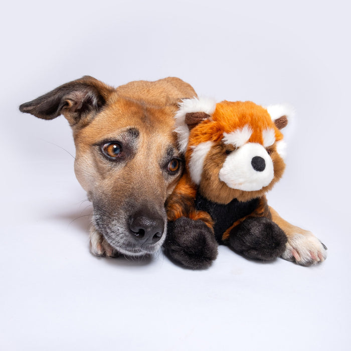 Dog with Archie Red Panda Plush Toy