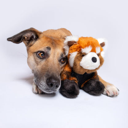 Dog with Archie Red Panda Plush Toy