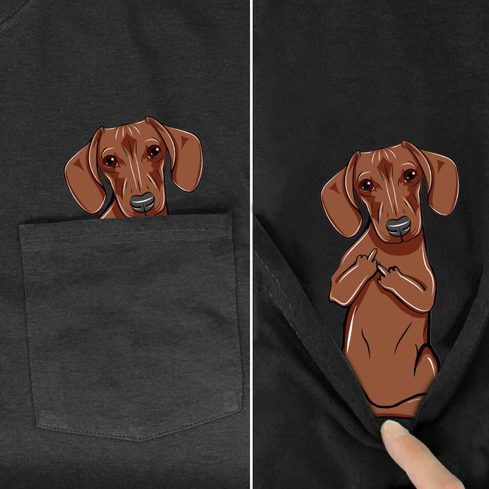 Dachshund / XS