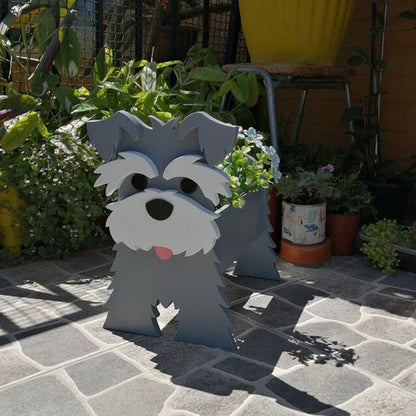 Schnauzer / 10.6x8.2x13x5 inches