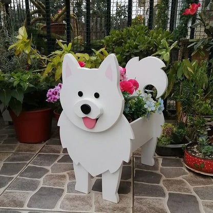 Pomeranian / 10.6x8.2x13x5 inches