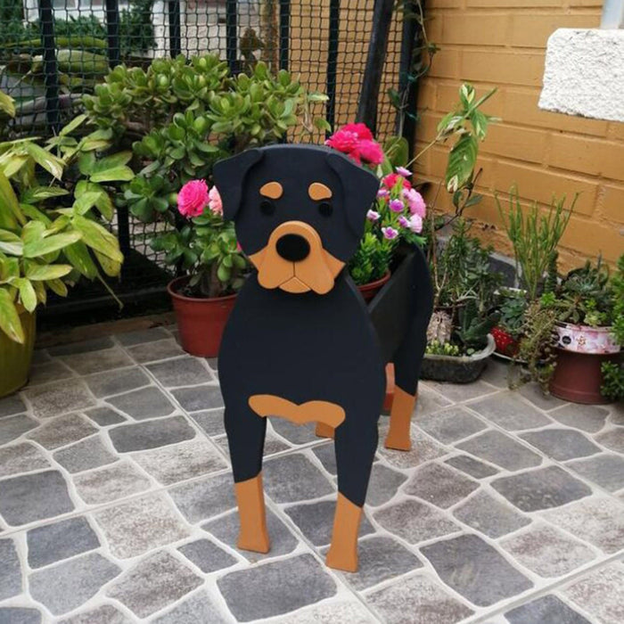 Rottweiler / 10.6x8.2x13x5 inches