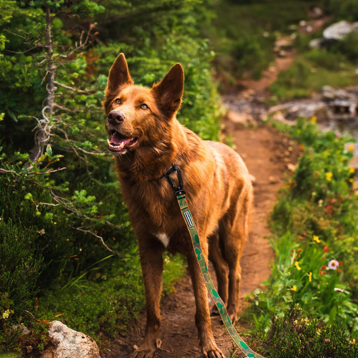 Camo Ultralight Leash