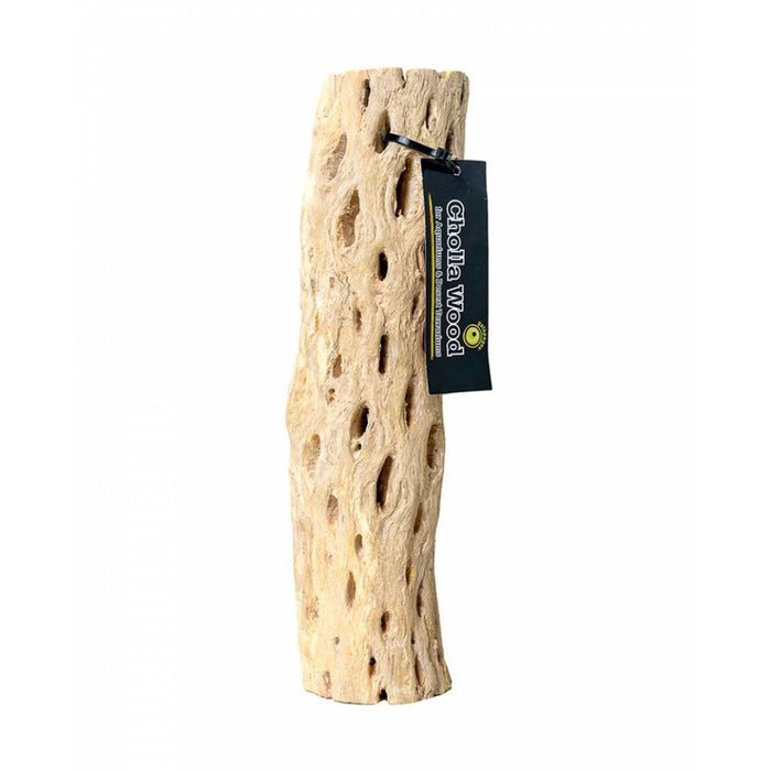 Cholla Wood