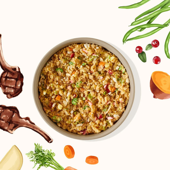 Bowl of My Perfect Pet Controlled Phosphorous Lamb Recipe surrounded by illustrations of ingredients, including carrots, sweet potato, and green beans
