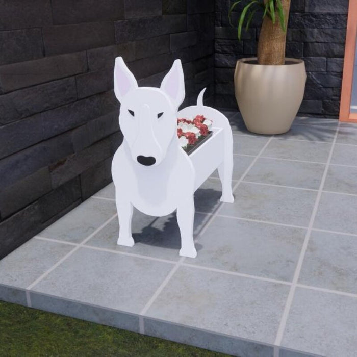 Bull Terrier