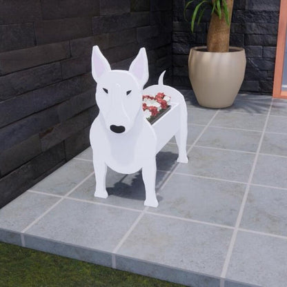 Bull Terrier
