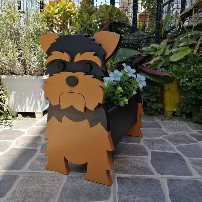 Yorkie