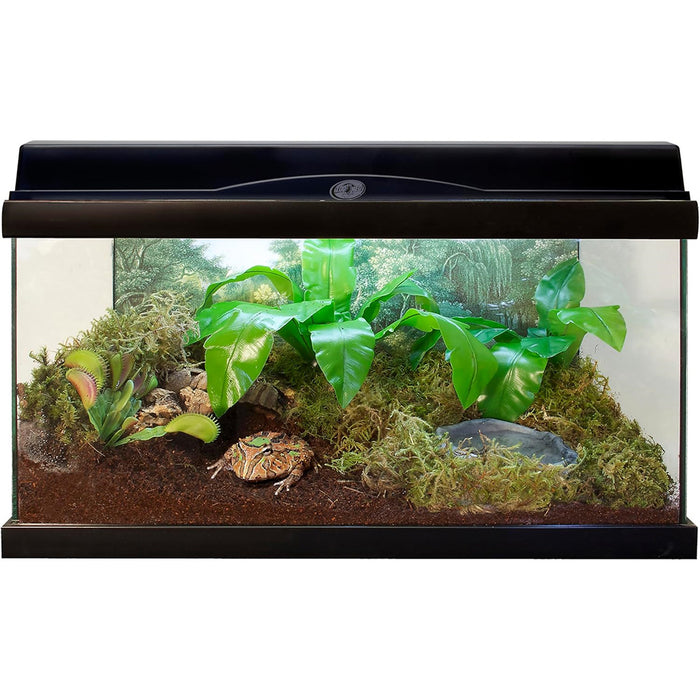 Eco Earth Loose Coconut Substrate in a tank set up.
