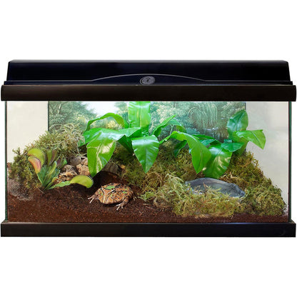 Eco Earth Loose Coconut Substrate in a tank set up.