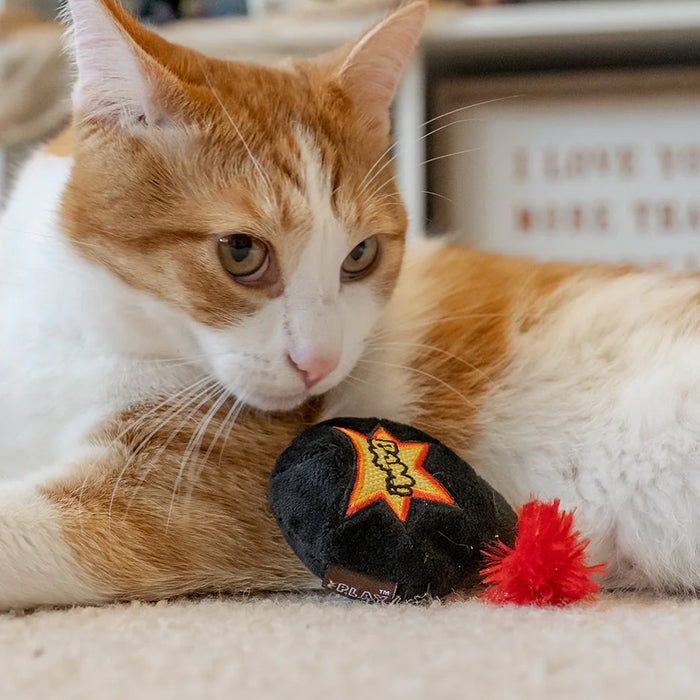 Cat playing with Feline Frenzy Kitty Boom Catnip Toy