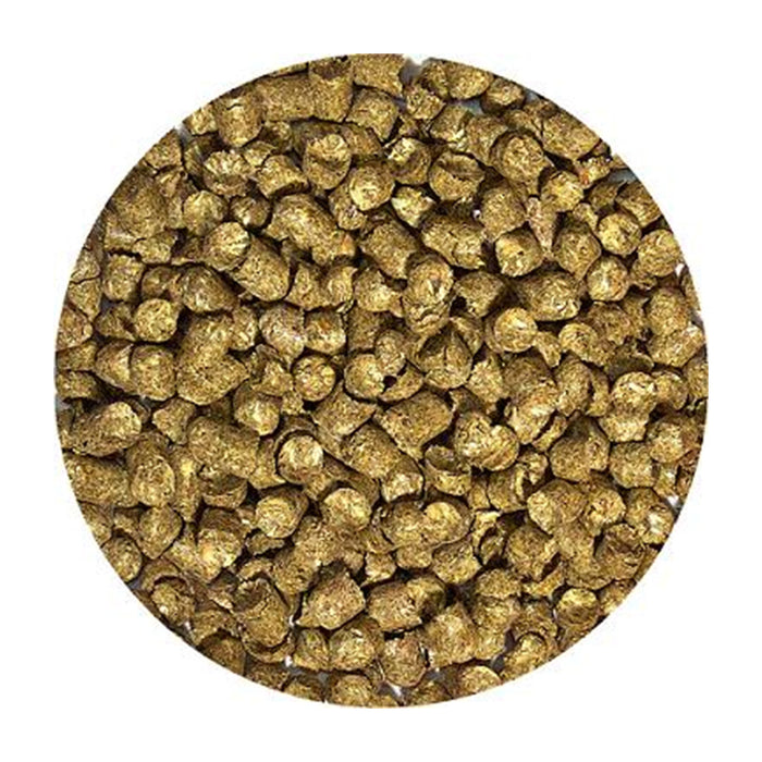 Forest Tortoise Food close up of pellets.