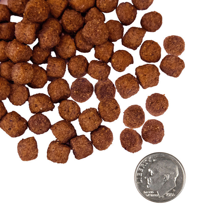 **Fromm Nutritionals Sensitive Skin & Stomach Salmon & Whole Oats Recipe Dry Dog Food