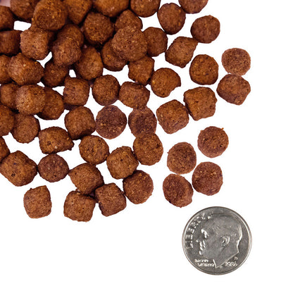 **Fromm Nutritionals Sensitive Skin & Stomach Salmon & Whole Oats Recipe Dry Dog Food