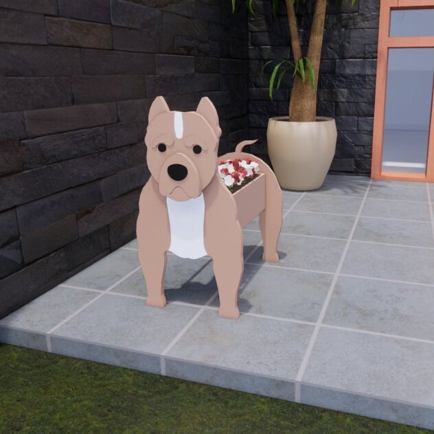 Pit Bull