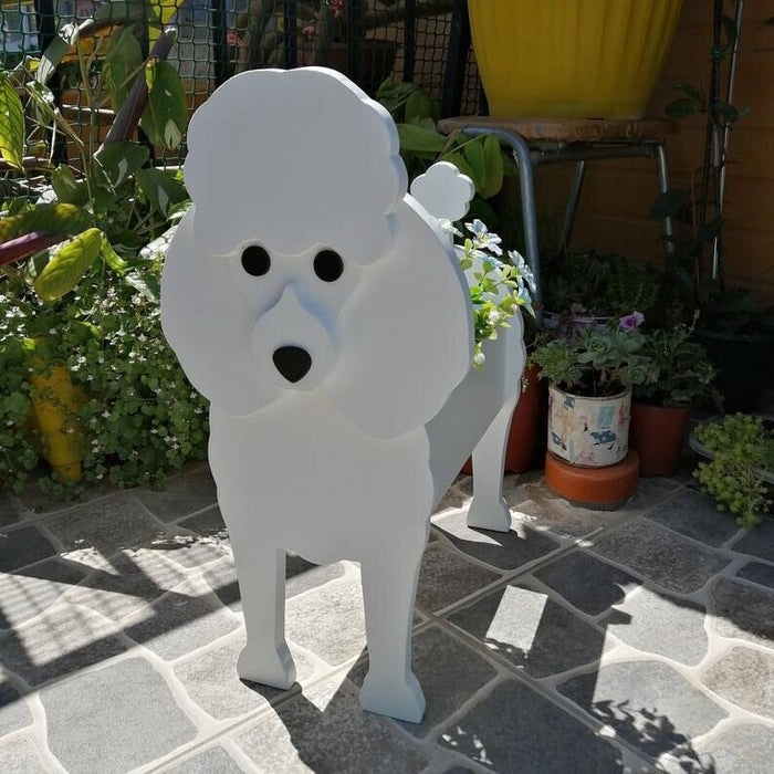 Poodle