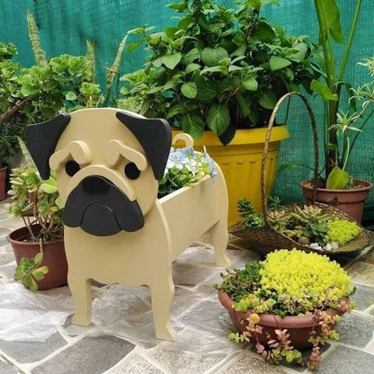 Pug yellow