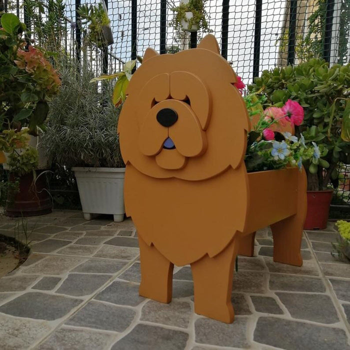 Chow Chow