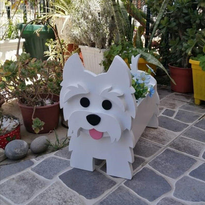 Westie