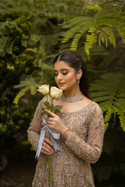 Graceful Radiance