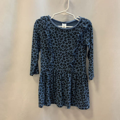 Long Sleeve Dress: Leopard