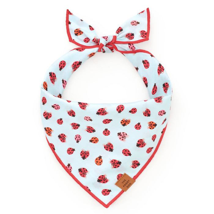 Love Bug Spring Dog Bandana