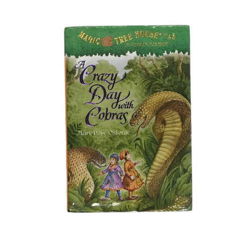 Magic Tree House #45