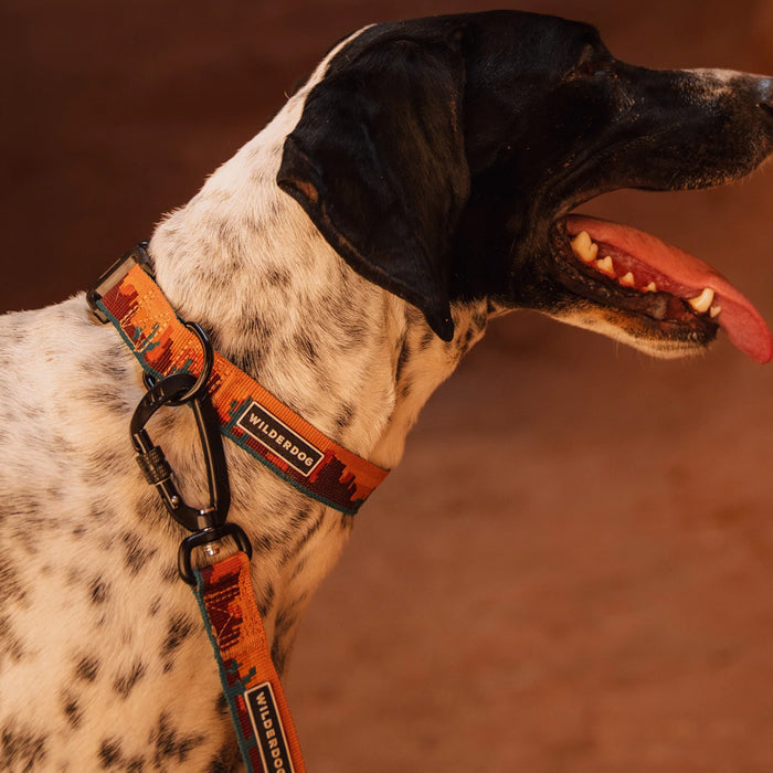 Moab Ultralight Collar