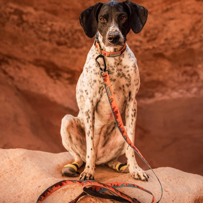 Moab Ultralight Leash