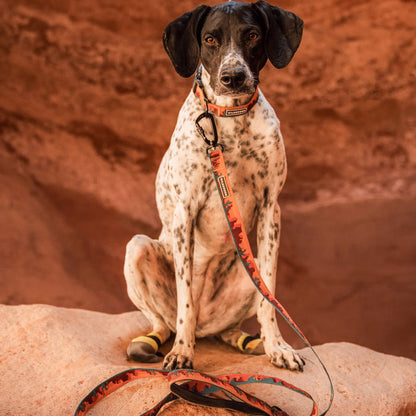 Moab Ultralight Leash