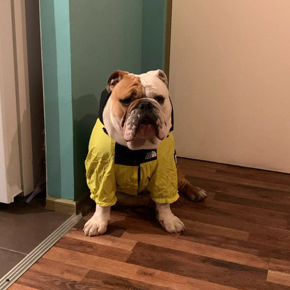 North Face Dog Jacket