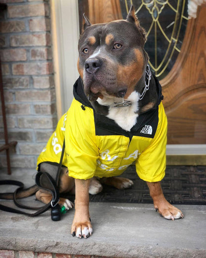 North Face Dog Jacket