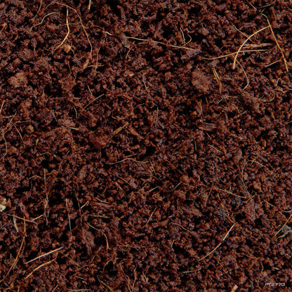 Plantation Soil Loose Coconut Fiber 8 qt