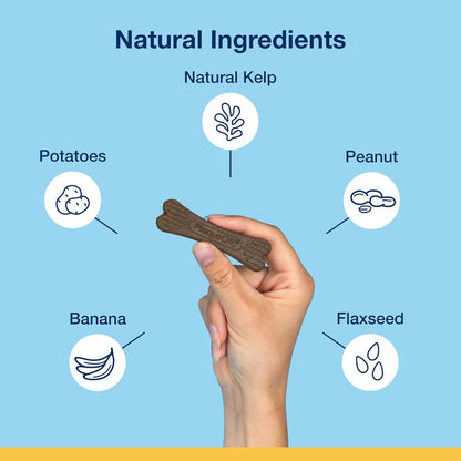 PlaqueOff Peanut Butter Banana Flavor Mini Dental Care Bones 20ct