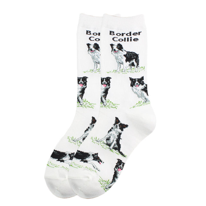 Border Collie