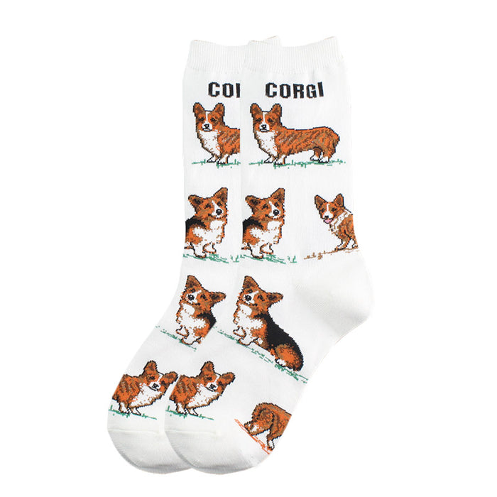 Corgi