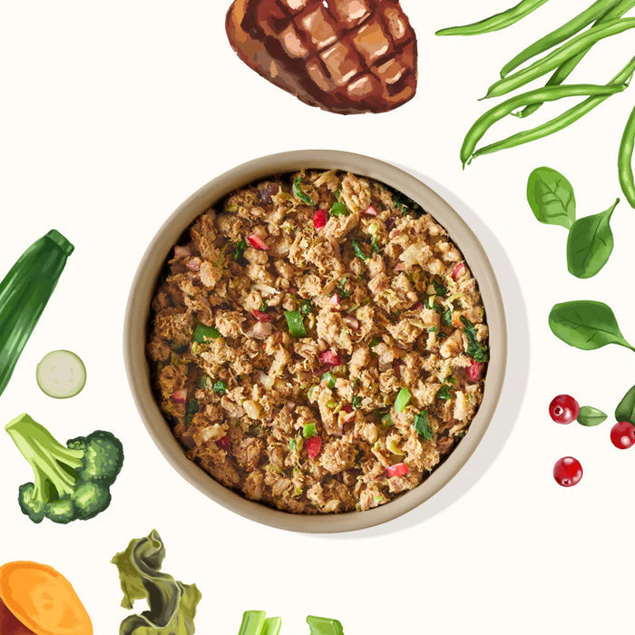 bowl of my perfect pet reduced carbohydrate recipe surrounded by illustrations of ingredients, including green beans, broccoli, and spinach.