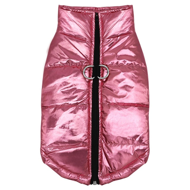 Shiny Westie Jacket