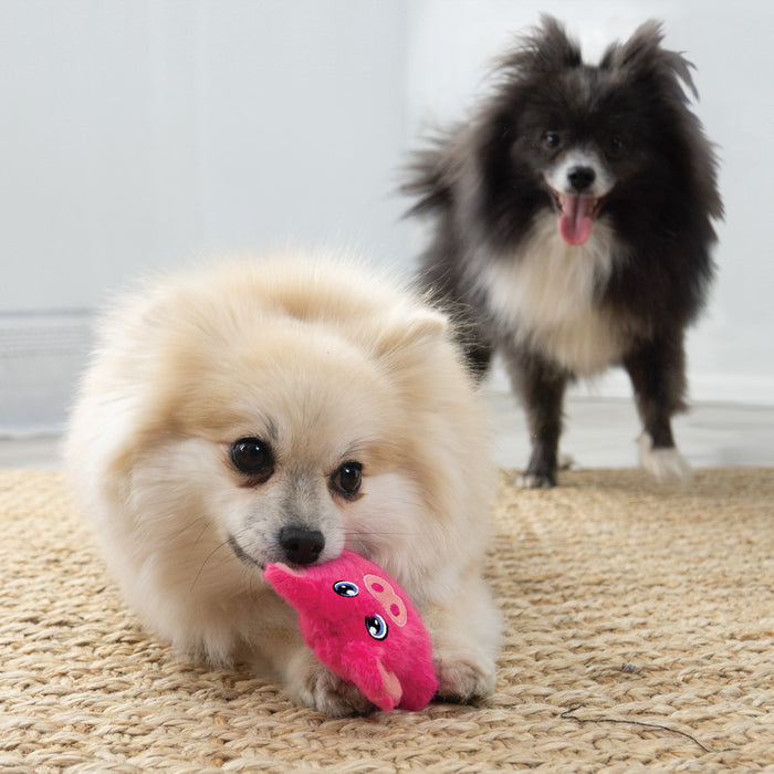 Snuzzles Mini Pig