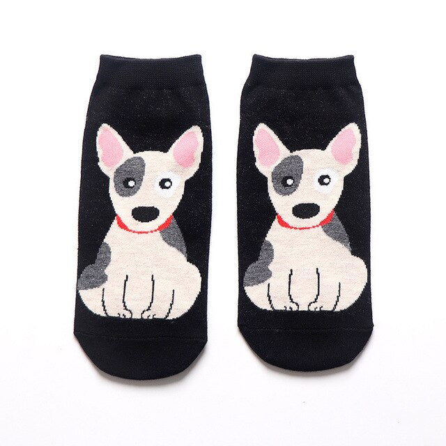 Bull Terrier