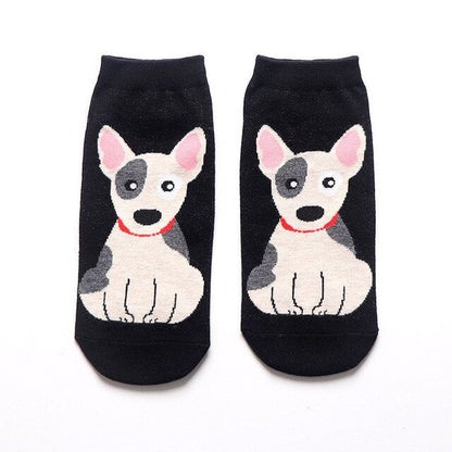 Bull Terrier