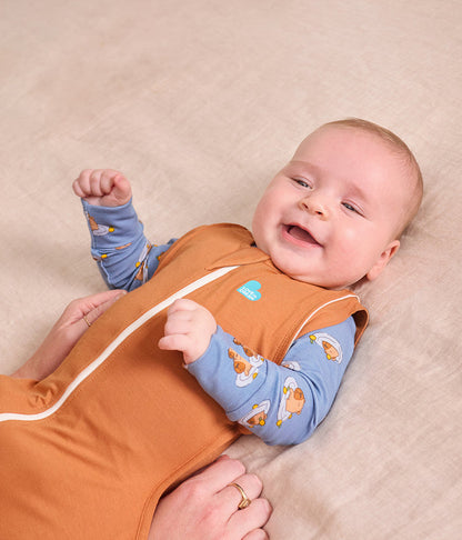 Swaddle Up™ 2-in-1 Transition Bag 1.0 TOG Viscose from Bamboo Hazel