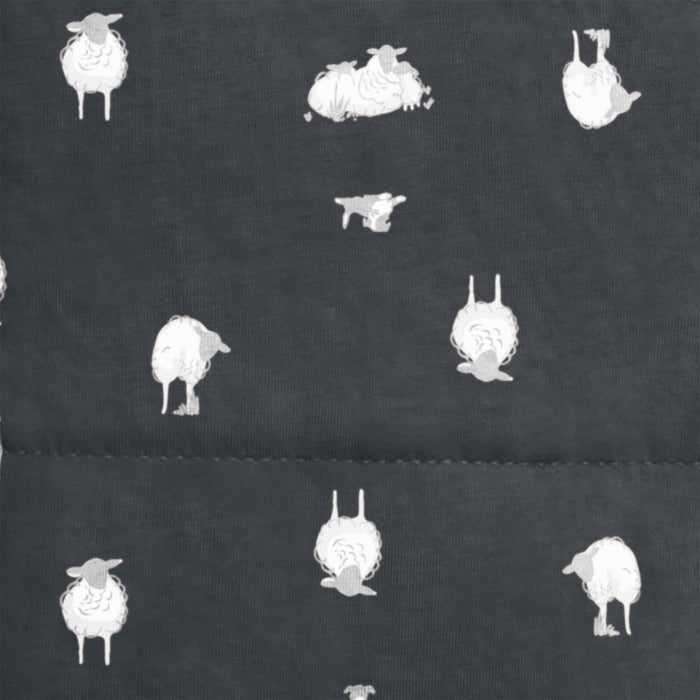 Swaddle Up™ 2-in-1 Transition Bag 2.5 TOG Organic Cotton/Merino Wool Charcoal Lamb's Best Friend