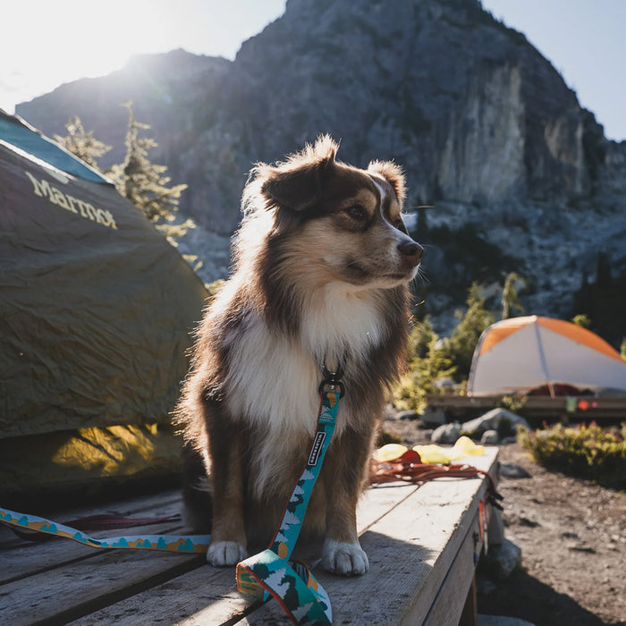 Tamarack Ultralight Leash